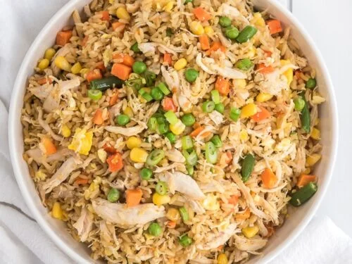 20260324113608-1774352168630easy-chicken-fried-rice-recipe24545-500x375.webp
